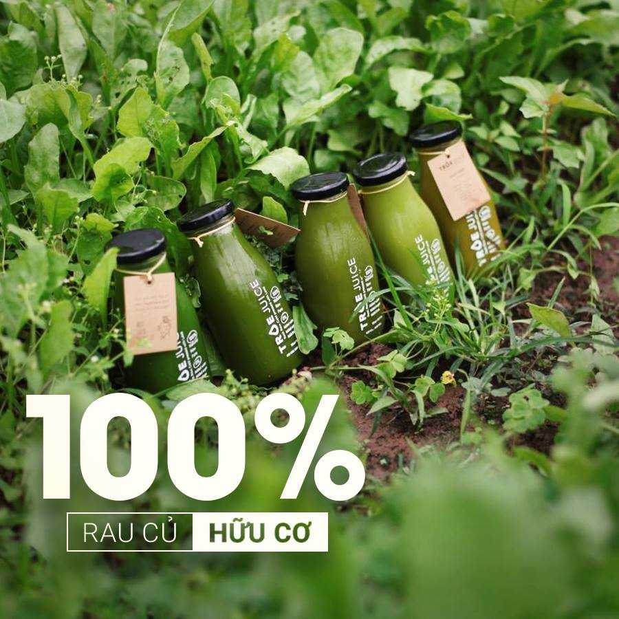 lieu-trinh-nuoc-ep-xanh-green-juice-tai-truejuice