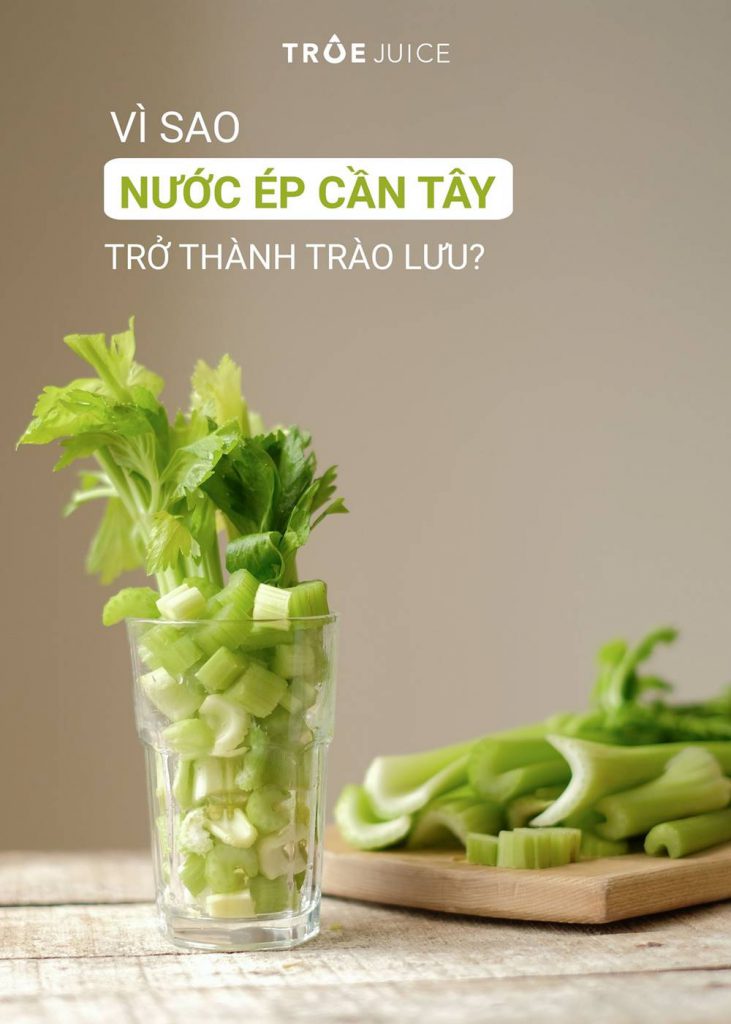 co-nen-uong-nuoc-ep-can-tay-moi-ngay-truejuice