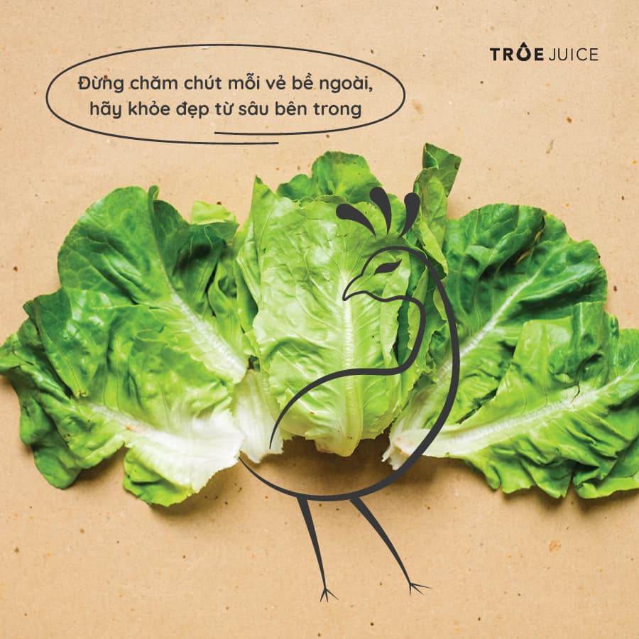rau-cu-qua-detox-truejuice