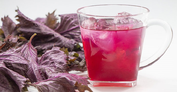 nuoc-ep-tia-to-truejuice