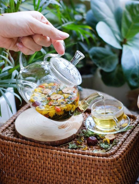 tra-hoa-cuc-thai-doc-truejuice