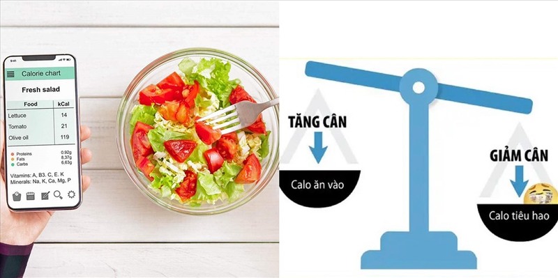 nhung-yeu-to-xac-dinh-luong-calo-trong-mot-ngay-truejuice