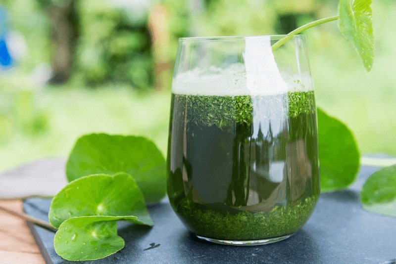 nuoc-rau-ma-thai-doc-gan-truejuice-min