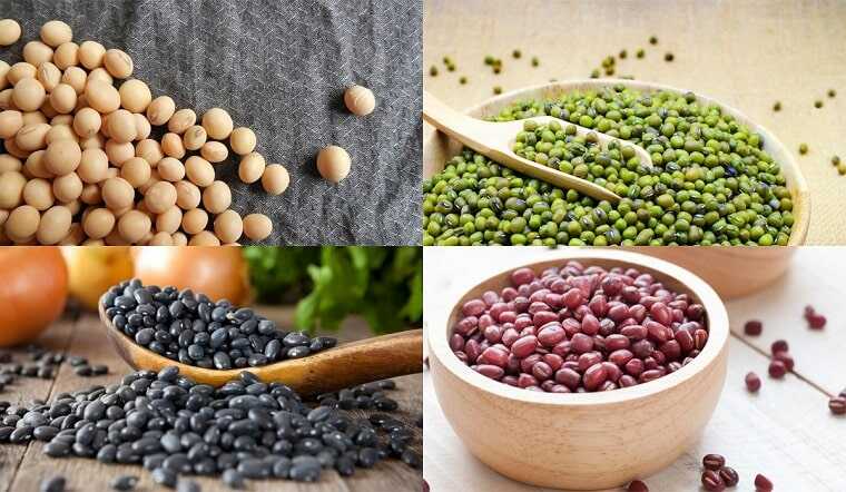 cac-loai-dau-truejuice