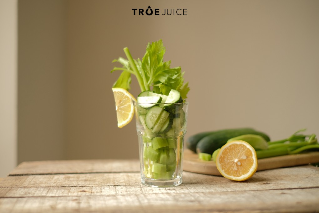 mot-so-luu-y-khi-su-dung-nuoc-ep-can-tay-thanh-loc-truejuice